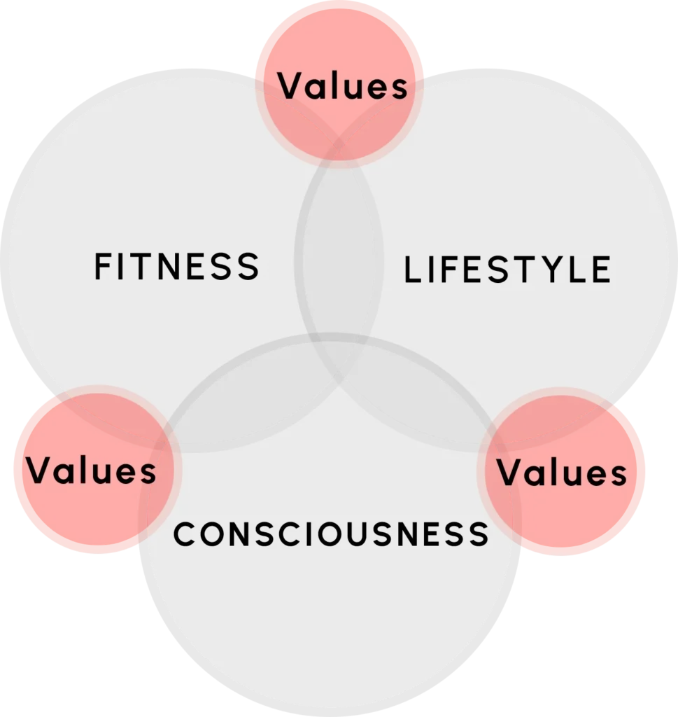 YDBG - The Solution - Principle-Centered